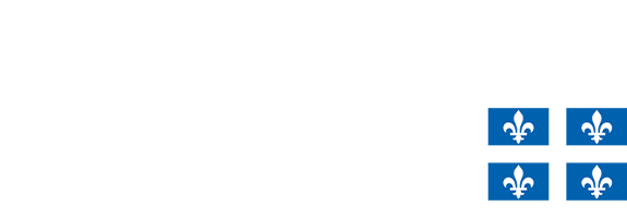 Centre de services scolaire de la Pointe-de-l'Île